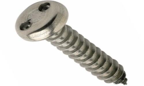 2 Hole Screws